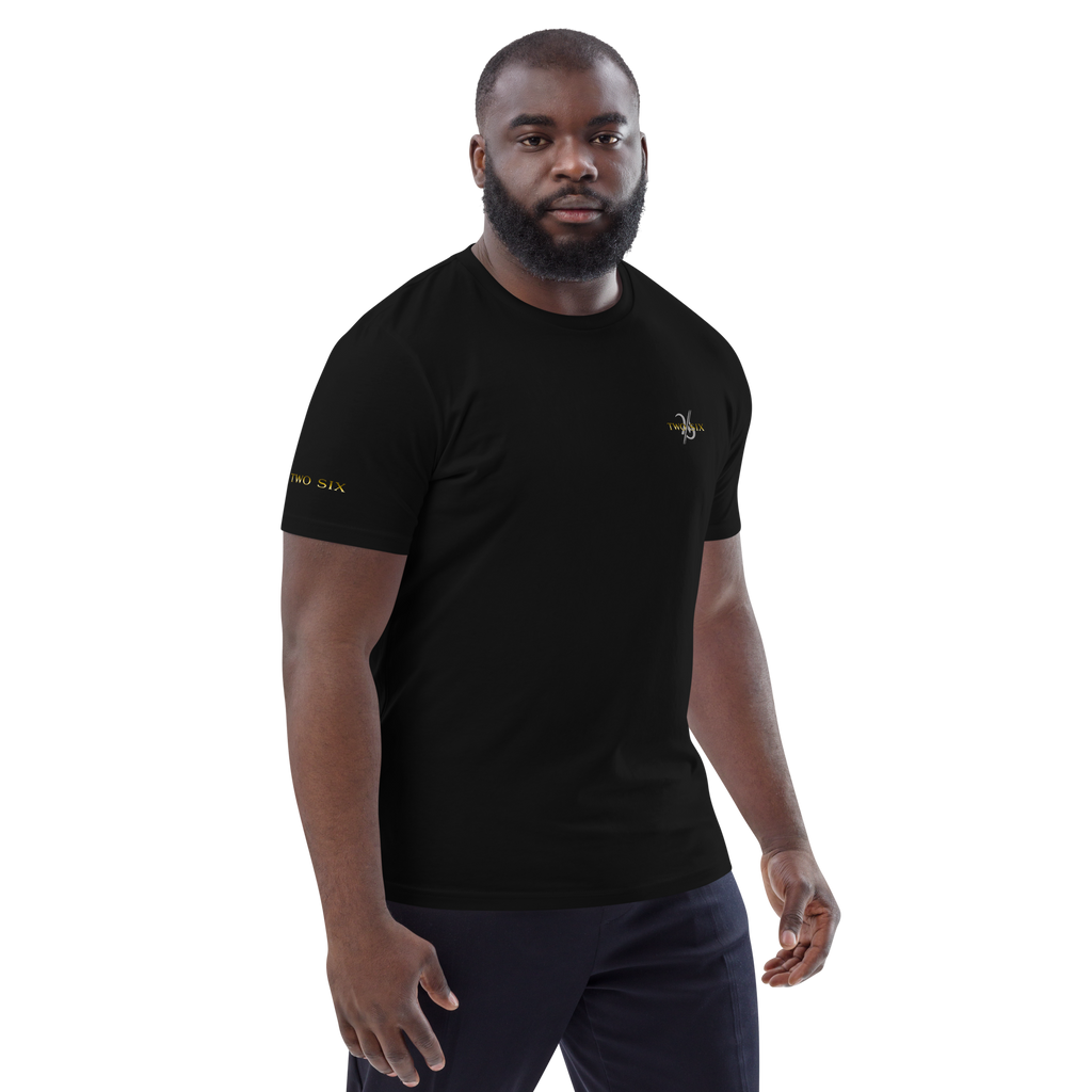 Ekologisk t-shirt i bomull för män